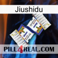 Jiushidu 12